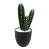 Surtido Planta Artificial CACTUS COLORADO