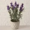 PLANTA EN MACETA LAVENDEL