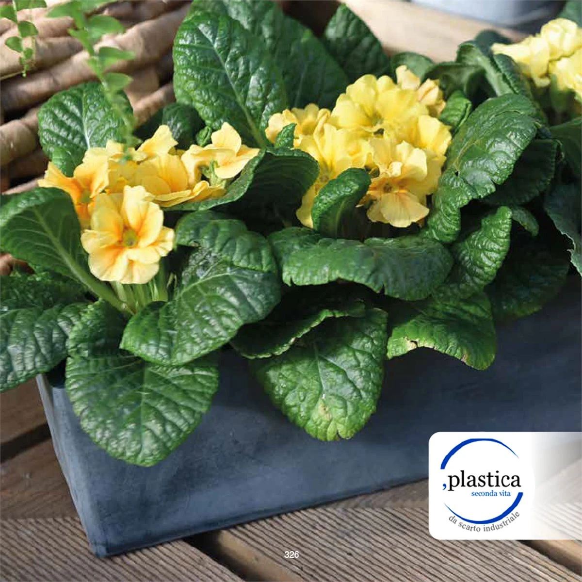 Jardinera 30 Cm - Imagen 4