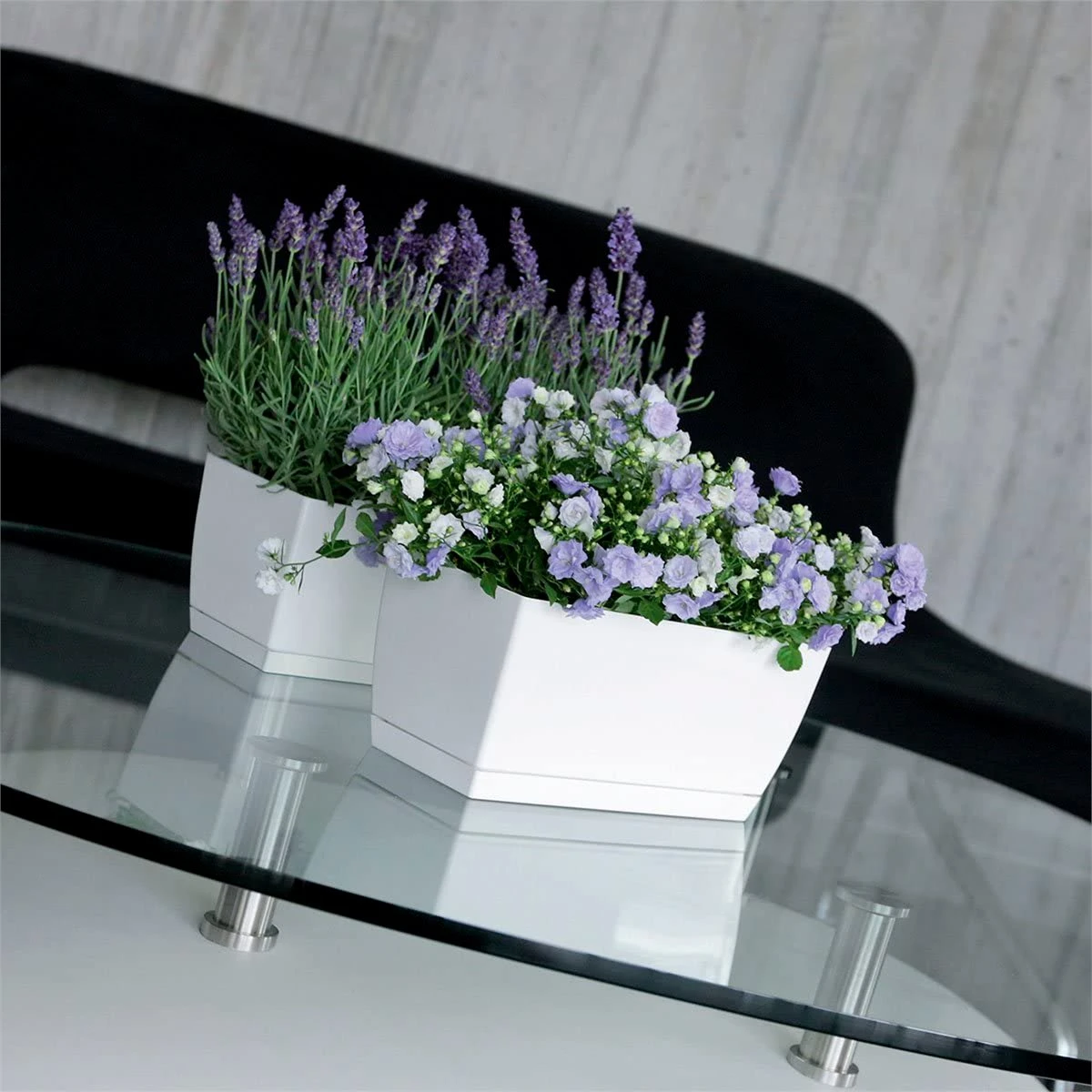 Prosperplast Jardinera De Plastico Coubi Case P En Color Blanco 39 (largo) X 19 (ancho) X 18,2 (altura) Cm - Imagen 2