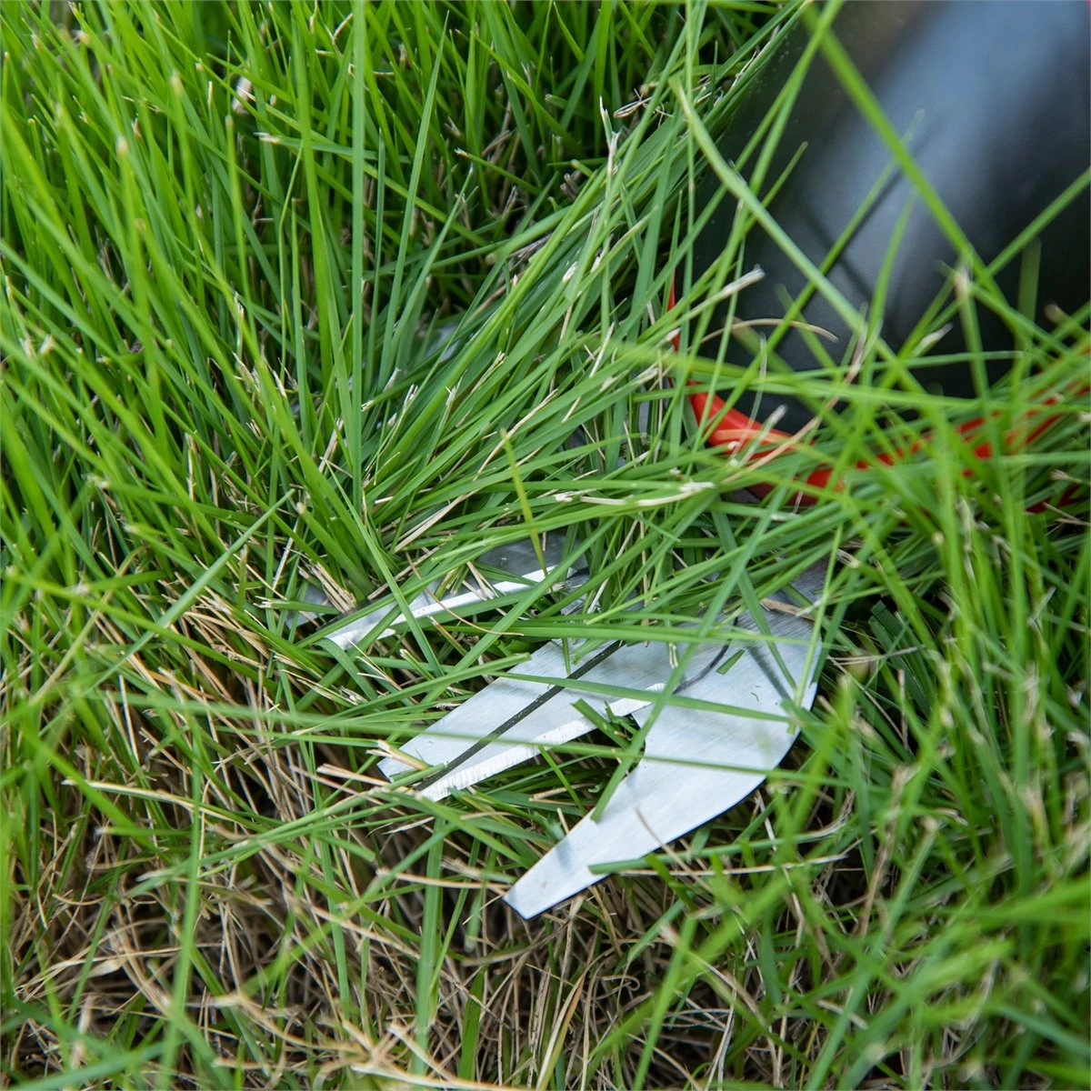 Outsunny Tijeras Cortacésped Y Arreglasetos 2 En 1 A Batería De 3.6V Con 2 Cuchillas Ancho De Corte 12 Cm/8 Cm Para Setos Césped Llave De Seguridad 37x6x9,5 Cm Rojo Y Negro - Imagen 9