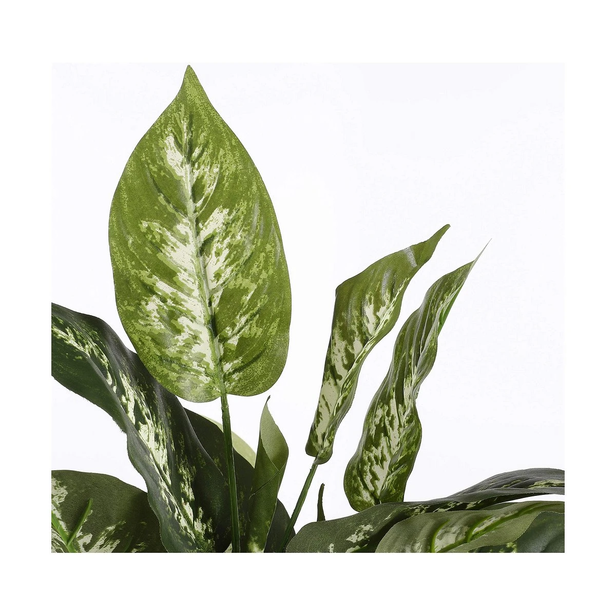 Planta Decorativa Mica Decorations Dieffenbachia Dieffenbachia Verde PVC (15,7 X 70 Cm) - Imagen 2
