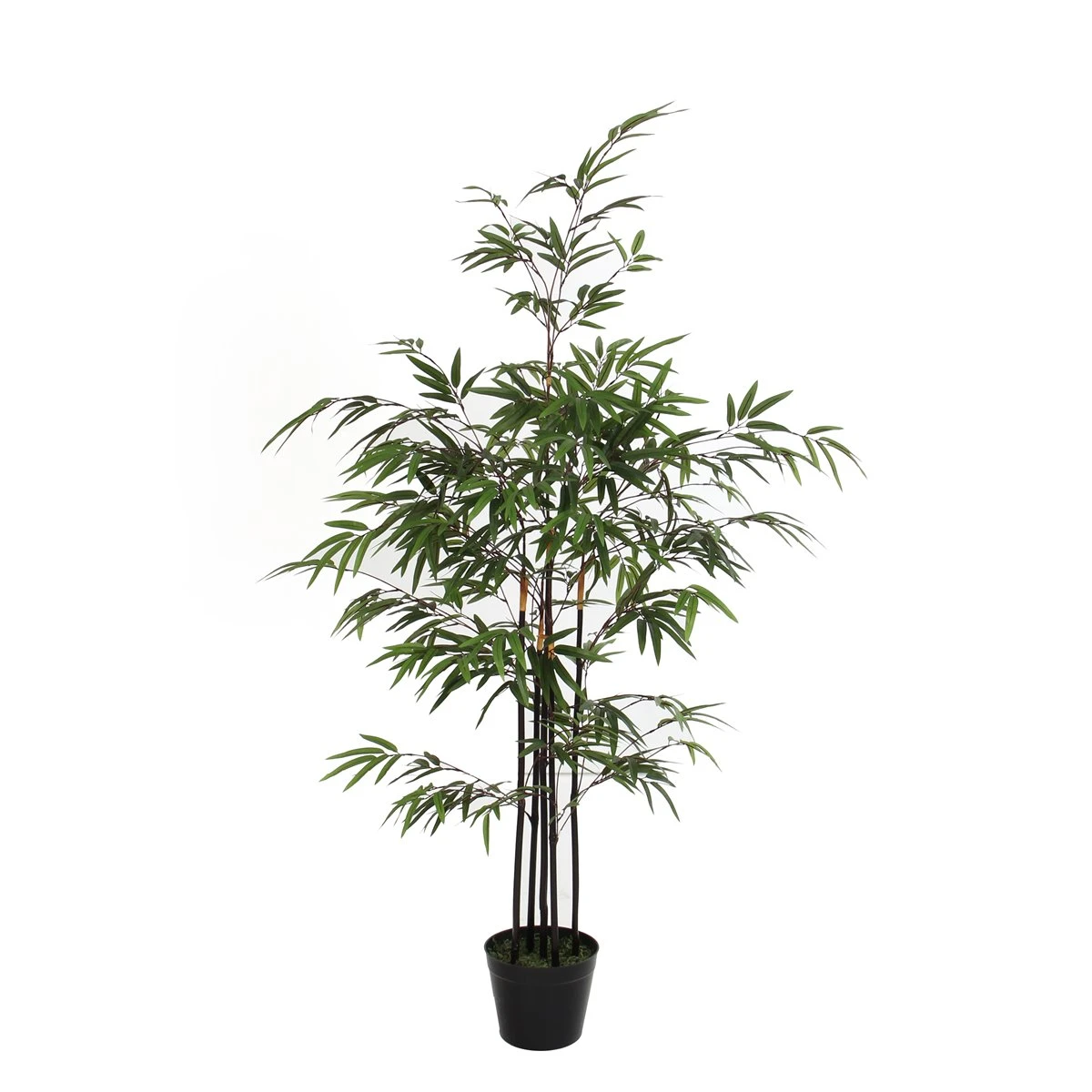 Planta Artificial BAMBU Marca MYCA