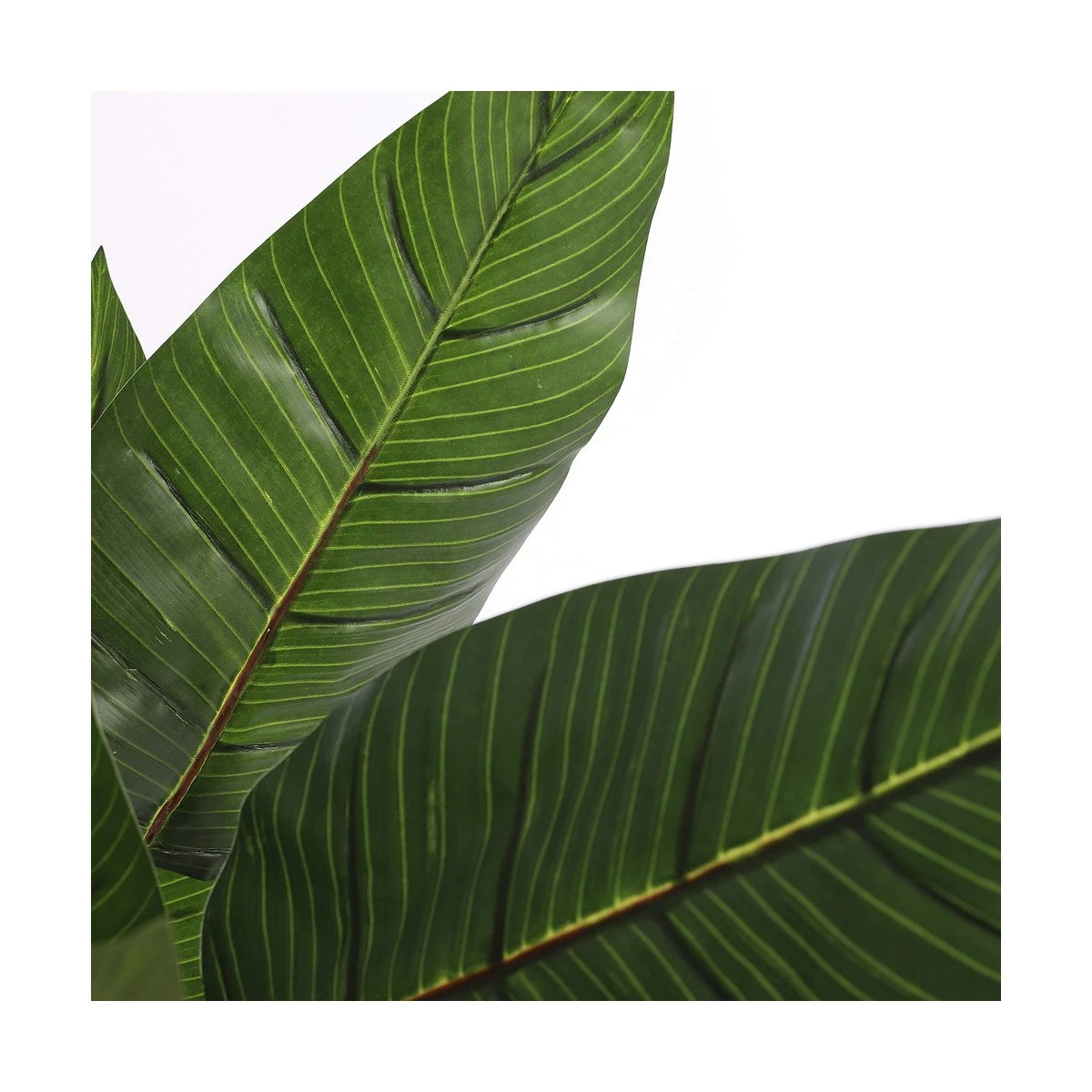 Planta Decorativa Mica Decorations (60 X 110 Cm) - Imagen 2